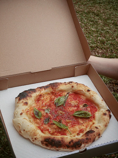 Bellyllie